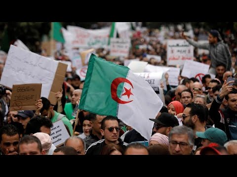 الجزائريون يستعدون لمظاهرات "الجمعة السادسة" وترقب لقرار المجلس الدستوري
