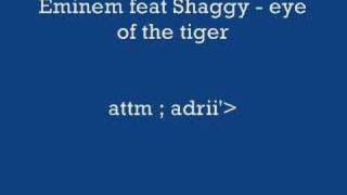 Eminem feat Shaggy - eye of the tiger