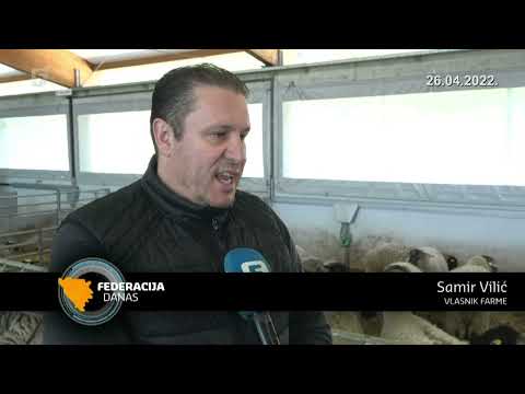 Savremena farma romanovskih ovaca kod Kiseljaka