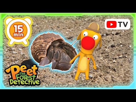 The Great Hermit Mission 🌟🌳 | Nature Stories For Kids | Peet The Forest Detective
