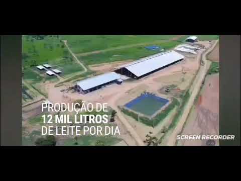 EXCELENTE FAZENDA PRODUTIVA LEITEIRA, NA REGIÃO DE CURVELO/MG