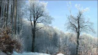 cast malych karpat; the western exile by secret chiefs 3