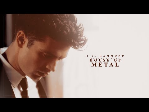 T.J. Hammond | He's an addict (Political Animals)