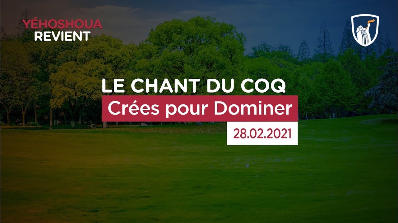 Thumbnail of video: Crées pour dominer