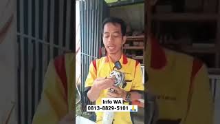 Download lagu kipas angin lemah sudah ganti kapasitor #shorts mp3