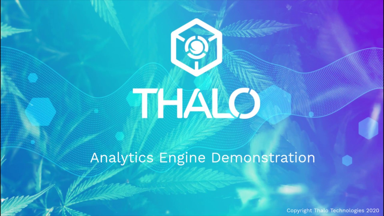 Thalo Analytics Engine