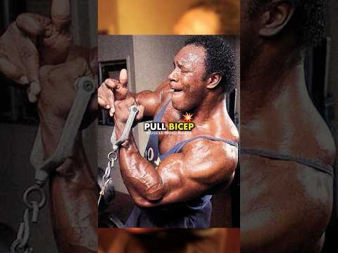 Why Did Lee Haney Use a Push-Pull Training Split? 🤔 #shorts