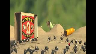 Black Ant vs Red Ant