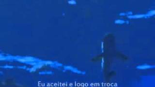 Raul Seixas - Sessão Das Dez.wmv