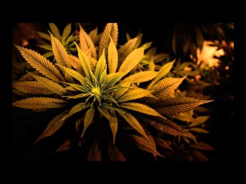 Anxious Andy - Million Voices That I Used To Know (Anxious Andy Vs Gotye)