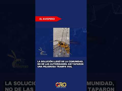Una tapa averiada obligó a los ciudadanos a convertirse en "obreros" de la ciudad | Oro Noticias