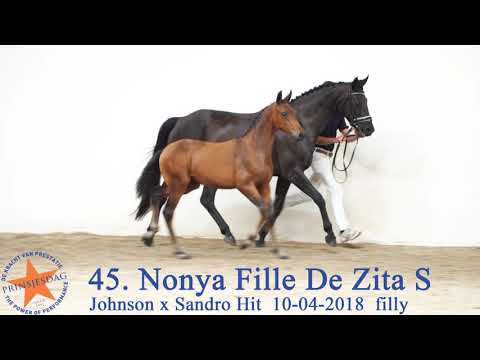 45 Nonya Fille De Zita S v. Johnson x Sandro Hit www.prinsjesdag.eu