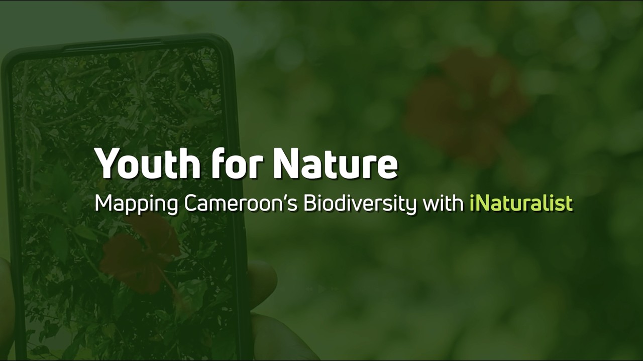 Youth for Nature - Mapping Cameroon’s Biodiversity with iNaturalist (English)