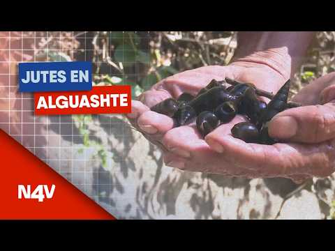 El sabor de San Lorenzo, Ahuachapán | Noticias 4 Visión | El Salvador