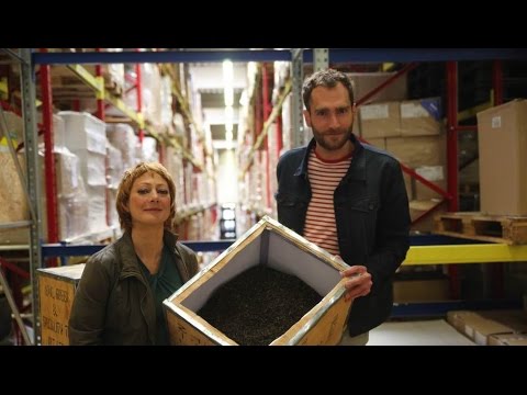 [Doku HD] Xenius - Tee - Wie ist er am gesündesten