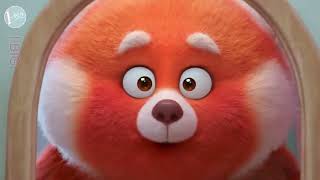 WHERE IS THE RED PANDA COME FROM ???
