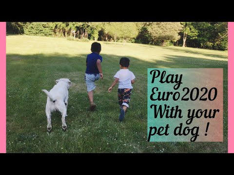 EURO 2020 Special | 3 year old Play Soccer with pet dog | kids healthy activity