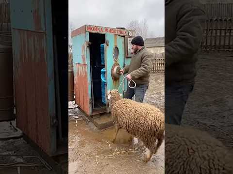 Невероятная Советская Техника🐑