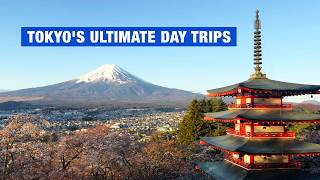 7 Best Day Trips from Tokyo 🌷 Breathtaking Flower Fields & Mt. Fuji Views
