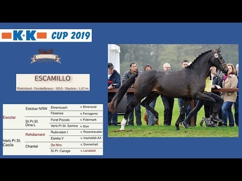 Escamillo @ K&K CUP 2019