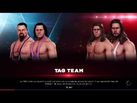 World tag team title goldrush Hart foundation vs Shawn Michaels and Diesel