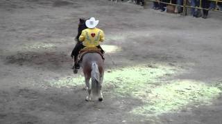 Joan Sebastian Juliantla (Plaza de toros Santa Maria de Qro. 19/Jun/2011 )