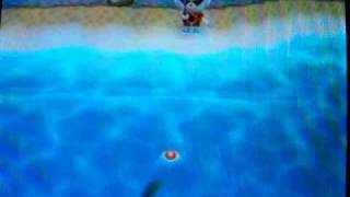 preview picture of video 'Animal Crossing: City Folk catching a football fish'
