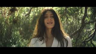 Beau   Animal Kingdom