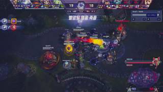 작은 프로비우스