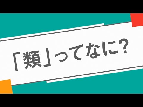 【群馬大学理工学部】「類」制度ってなに？
