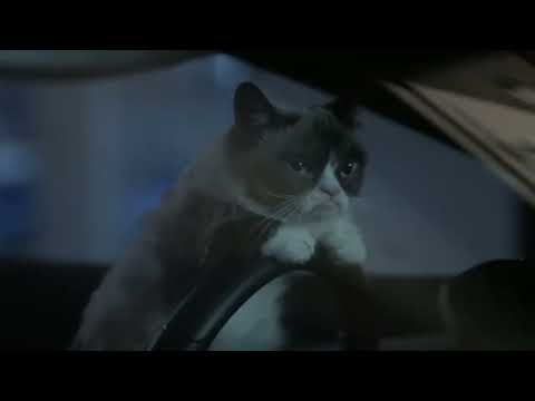grumpy cat worst Christmas ever edit 2014.
