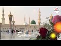 Ham Kahan Sarkar Jaye Aap Ke Hote Huye Naat Status Whatsapp Naat Status Beautiful Naat