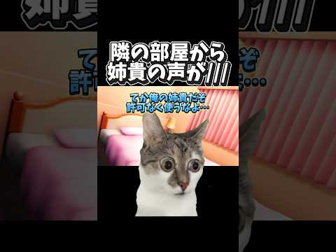｢僕のだぞっ！！｣姉貴は俺のもんだ&hellip; #shorts #あるある #実話 #猫マニ #猫ミーム