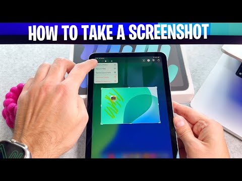How To Change Language On iPad Mini 7