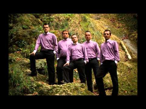 Ts Veličke Legende feat. Kramp- Zbog nje