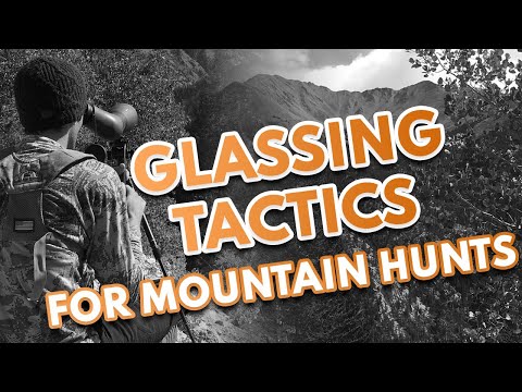 Glassing Tactics for Mountain Hunts
