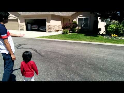 Areeba playing with a cute little dog part 2