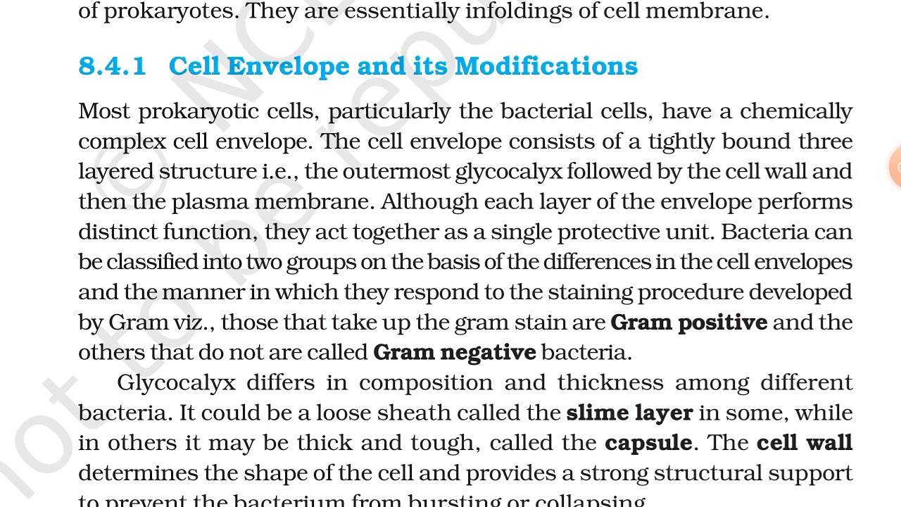 [L4] Cell Envelope And Its Modifications | Class 11 Cell The Unit of Life
