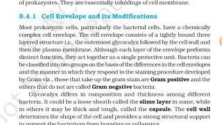 [L4] Cell Envelope And Its Modifications | Class 11 Cell The Unit of Life