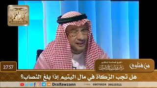 صورة 2757- هل تجب الزكاة في مال اليتيم إذا بلغ النصاب؟ | الشيخ صالح الفوزان