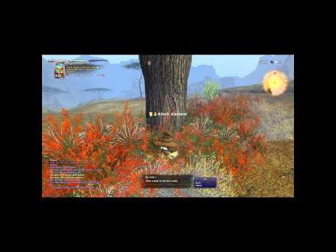 Final Fantasy XIV Botanist Levequest