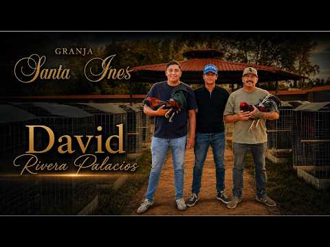 Granja Santa Inéz | Técnica y Postura de David Rivera que Pocos Conocen