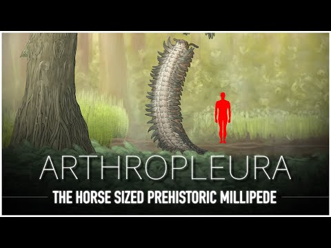 Arthropleura: The Nightmarish GIANT Millipede | Prehistoric Animal Documentary