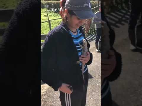 Volunteer Programs in Spain Video Gallery'