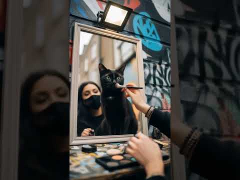 my black cat and makeup so sweet 🥰🥰 #shortvideo #funny #shoppingvideo