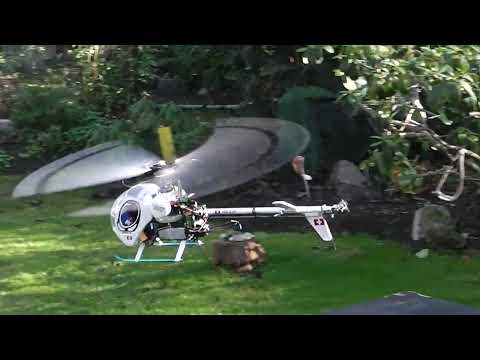 Hughes 300c / T-Rex 450er Größe