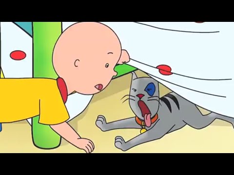 Caillou en Français | Caillou et le Chat Perdu | 524 | dessin animé | NOUVEL ÉPISODE HD