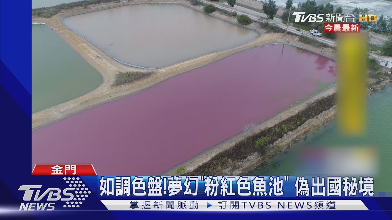 如調色盤！夢幻「粉紅色魚池」　偽出國秘境