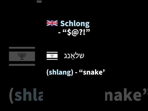 English Words of YIDDISH Origin (#shorts)