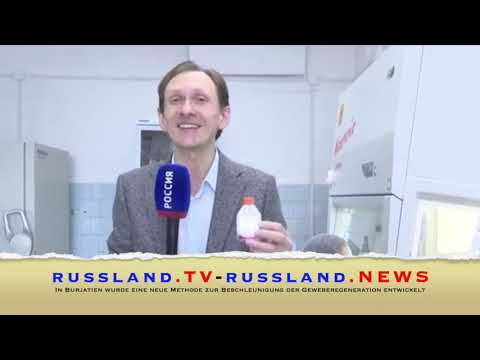 In Burjatien wurde eine neue Methode zur Beschleunigung der Geweberegeneration entwickelt